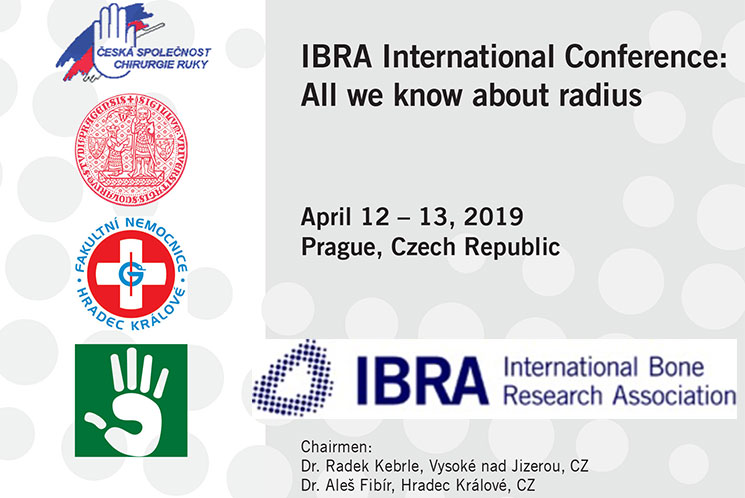 IBRA International Conference